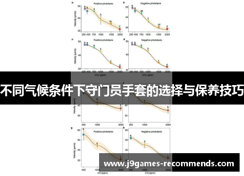 不同气候条件下守门员手套的选择与保养技巧